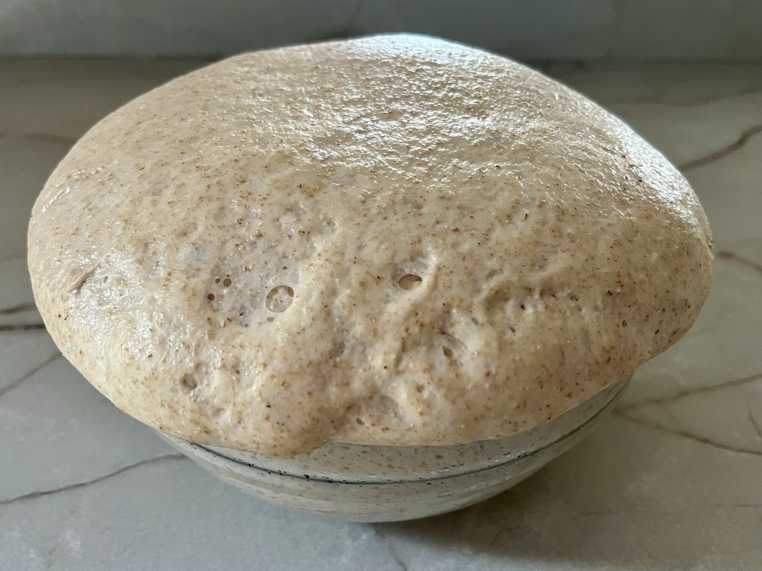 Pizzateig für das Blech mit Halbvollkornmehl, rustikal und duftend.