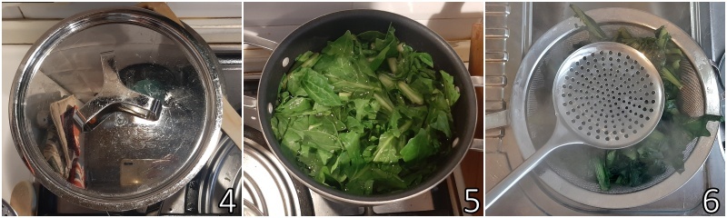 b. wilden chicorée oder katalogna kochen