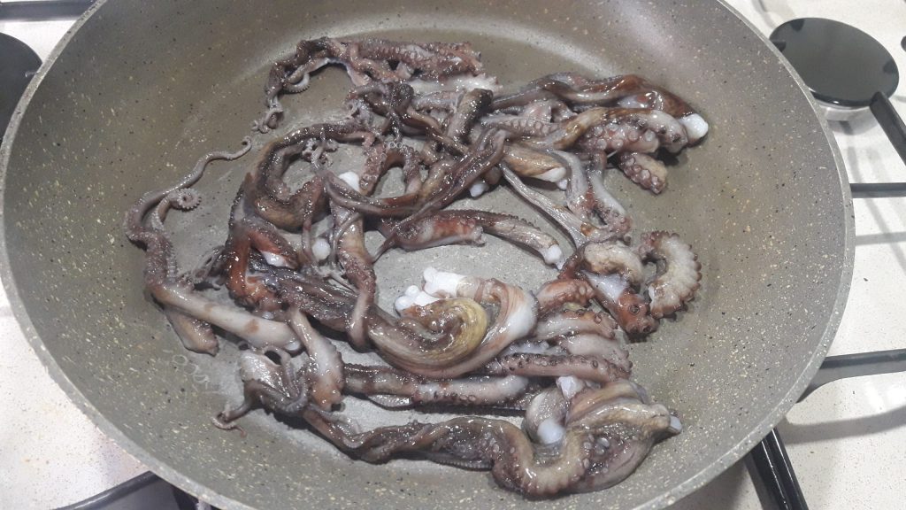 Zeit für die Oktopusse