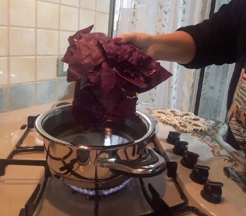 Rotkohl