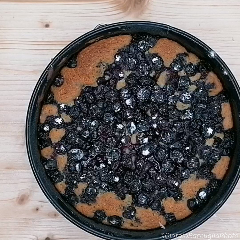 Blaubeer-Schoko-Kuchen