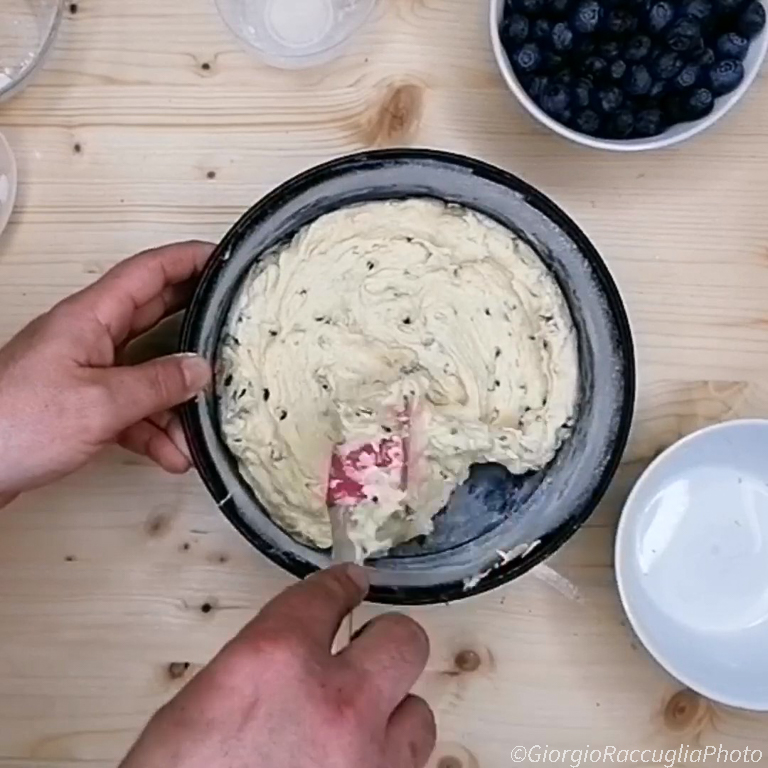 Blaubeer-Schoko-Kuchen