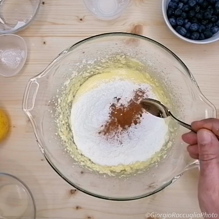 Blaubeer-Schoko-Kuchen