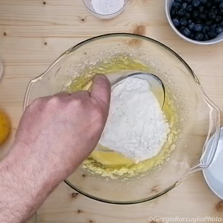 Blaubeer-Schoko-Kuchen