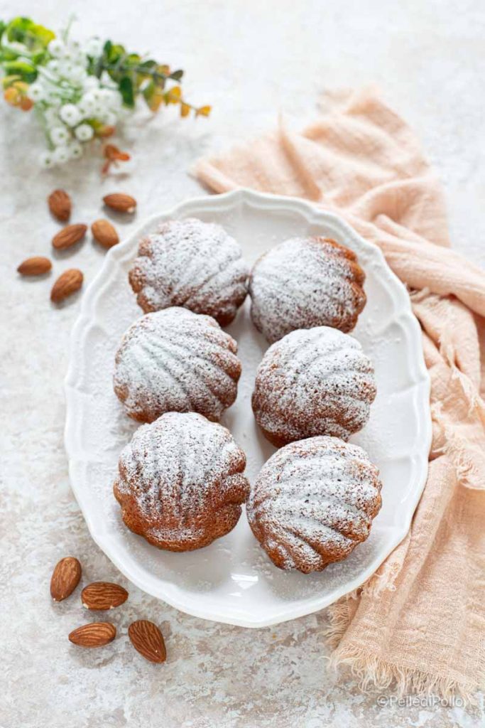 madeleines conchiglia