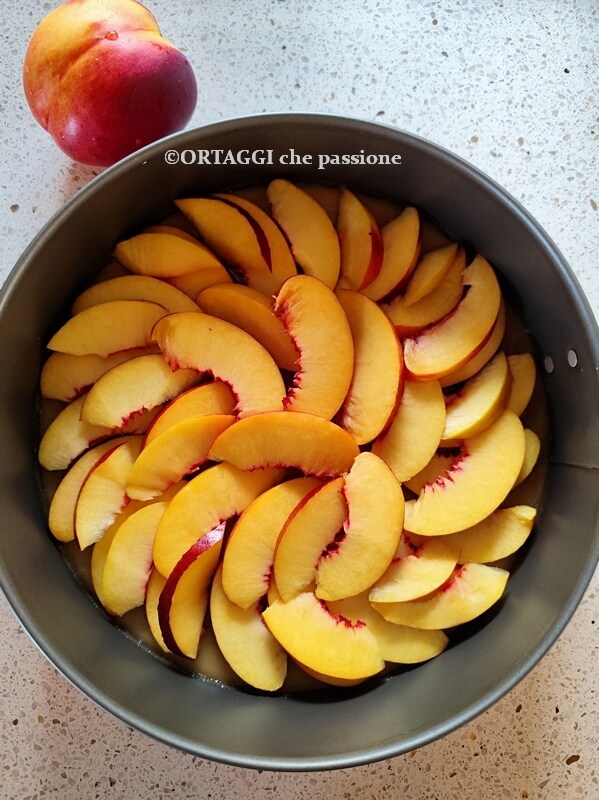 couche généreuse de fruits pour tarte aux pêches