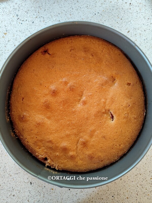 tarte aux pêches cuite