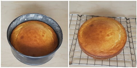 Gâteau à la ricotta et au citron fraîchement cuit