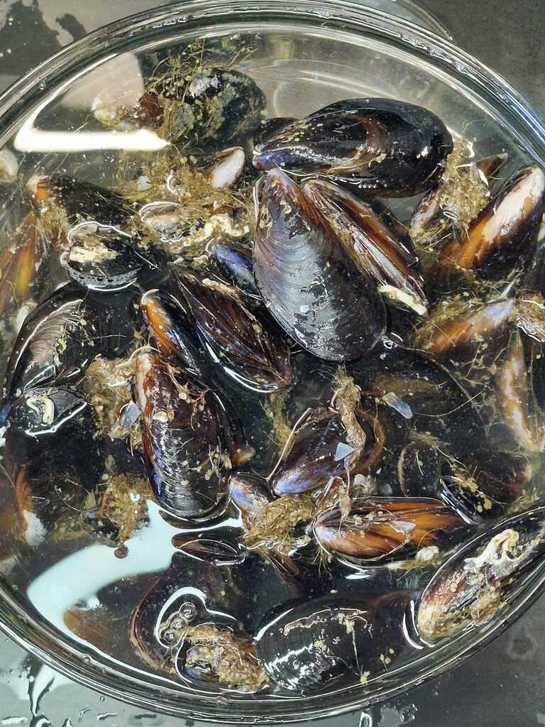 Gnocchetti sardi aux moules