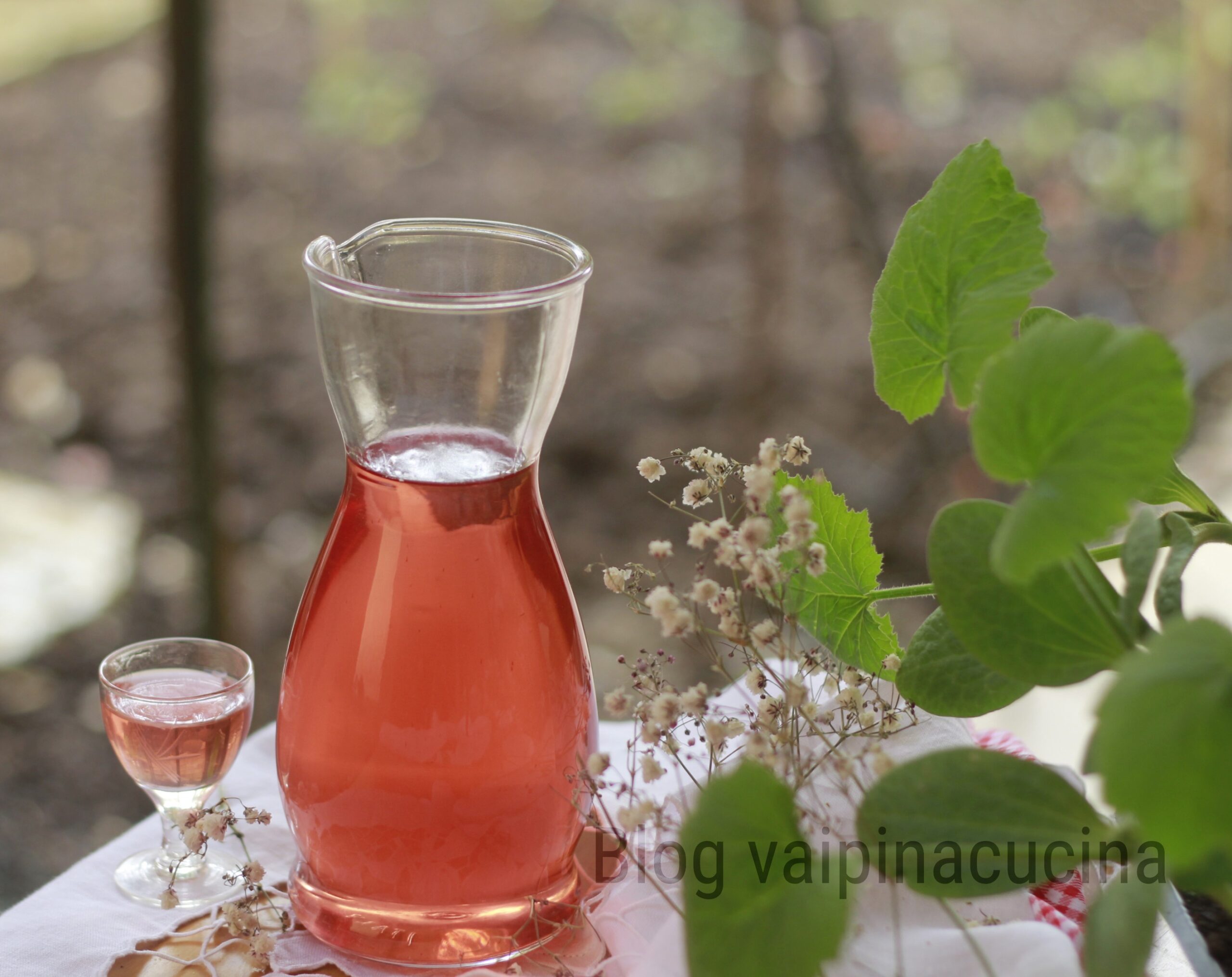 Recette Fragolino, liqueur aux fraises