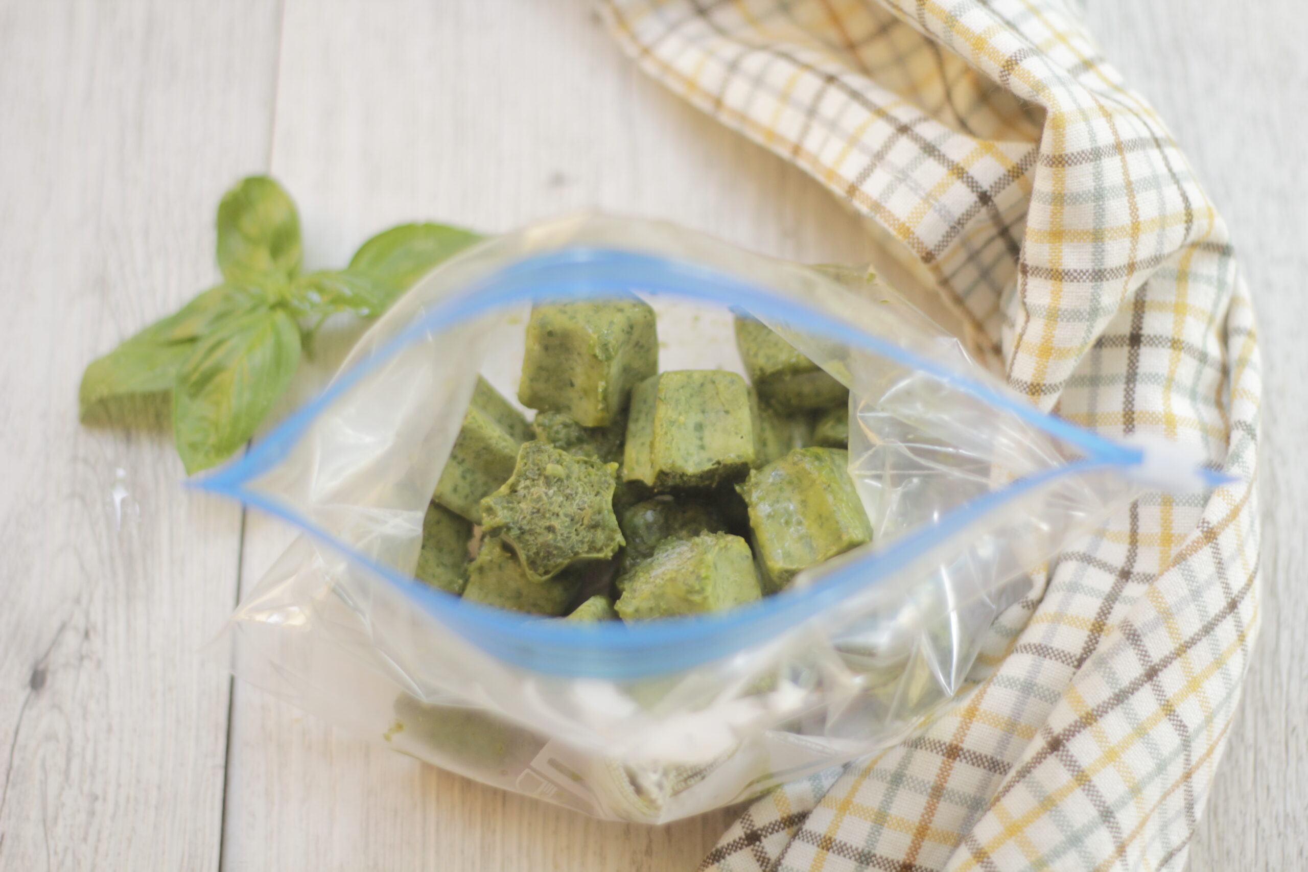 Comment conserver le basilic frais