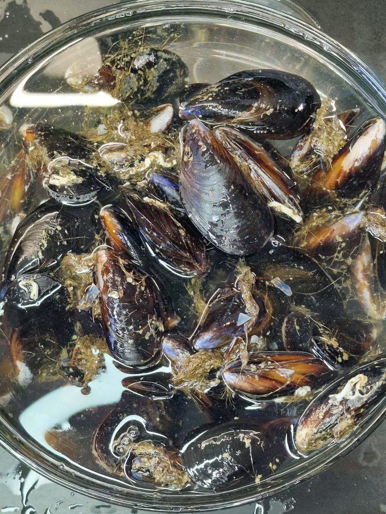 Pâtes à la crème de pommes de terre et moules