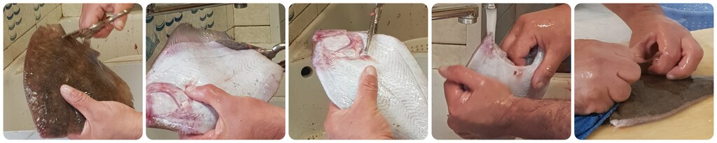 turbot à la meunière