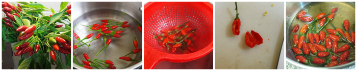 Piments confits enrobés de chocolat