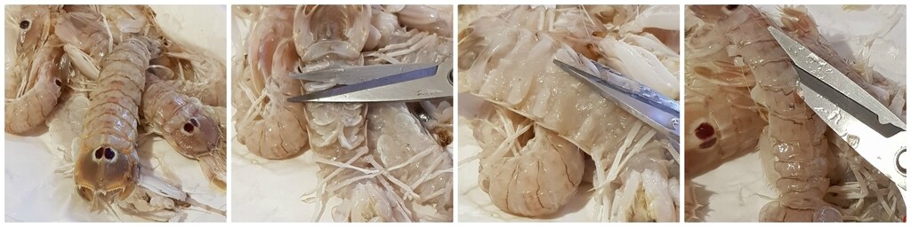 belles cicales de mer