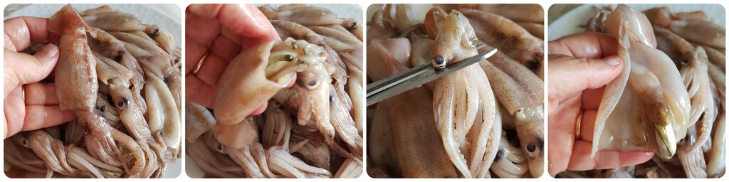 nettoyage des calamars