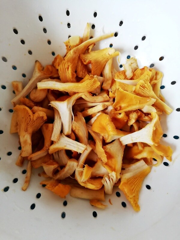 girolles lavées et découpées
