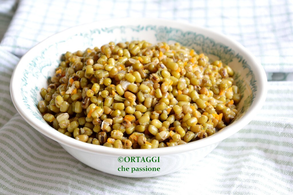 Haricots azuki verts – RECETTES