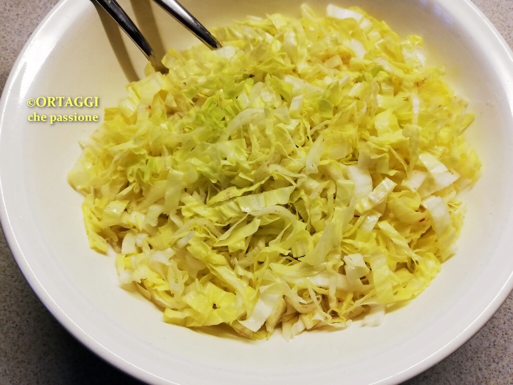 Chicorée Pain de Sucre – salade d’hiver