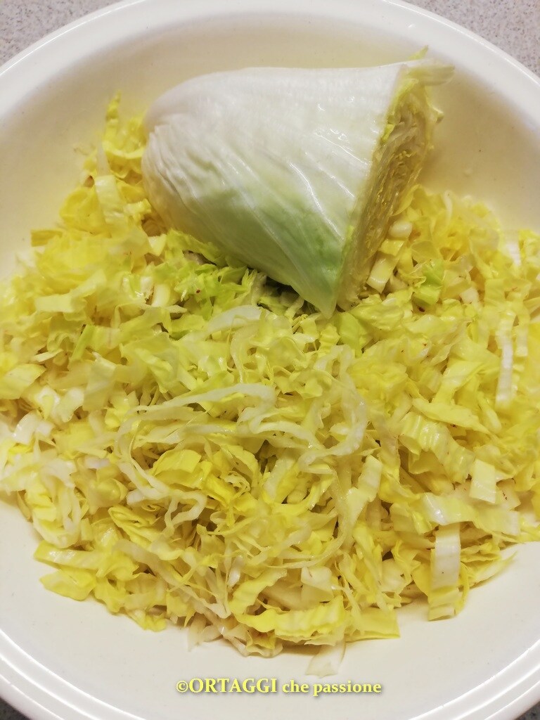 chicorée pain de sucre salade