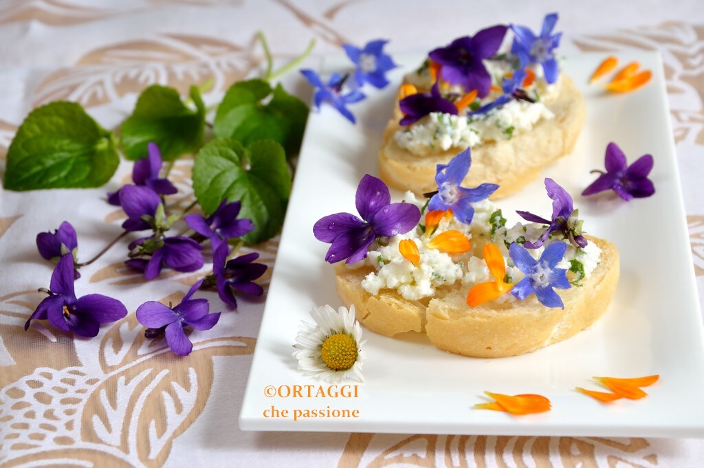 Crostini RAPIDES froids aux fleurs comestibles