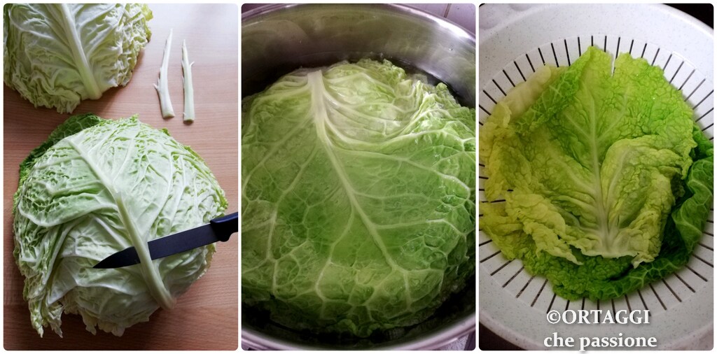 bouillir feuilles de chou vert - ORTAGGI che passione