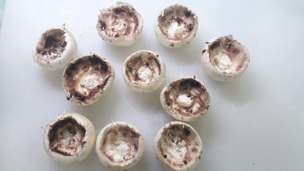 Champignons de Paris farcis