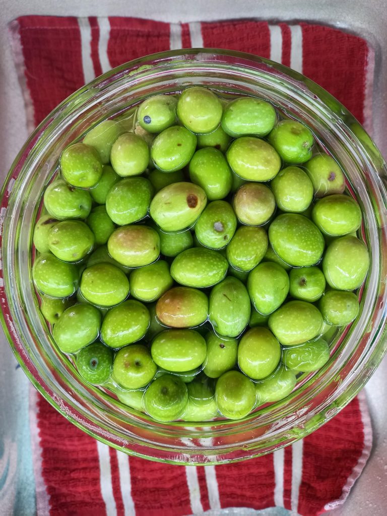 Les olives en saumure recette sicilienne