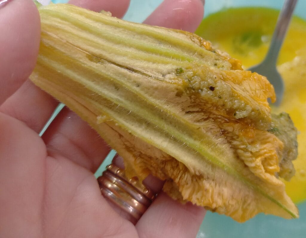 Les fleurs de courgettes avec mousse à la mortadelle