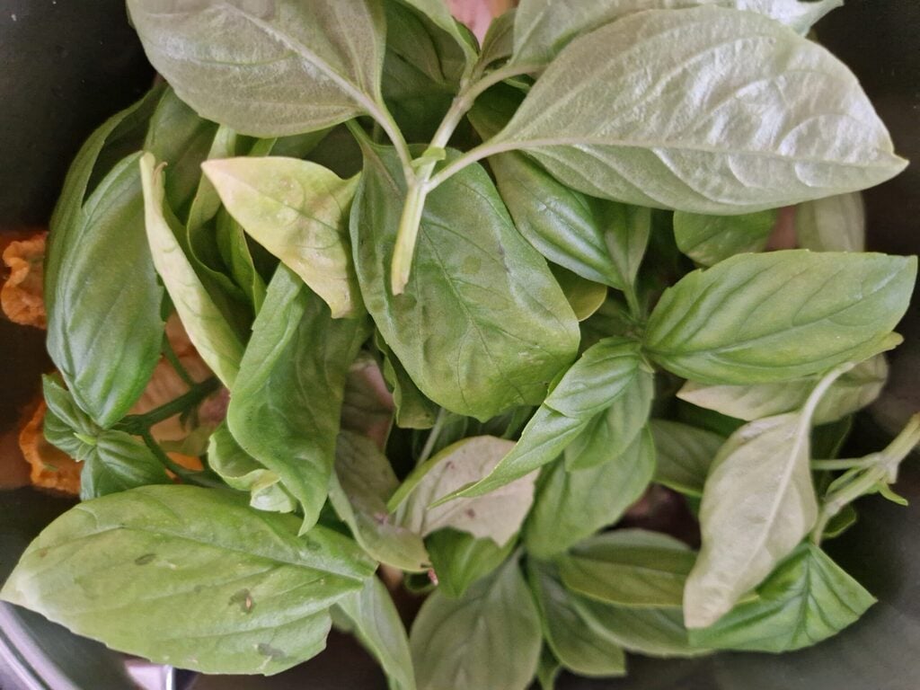 pesto fleurs