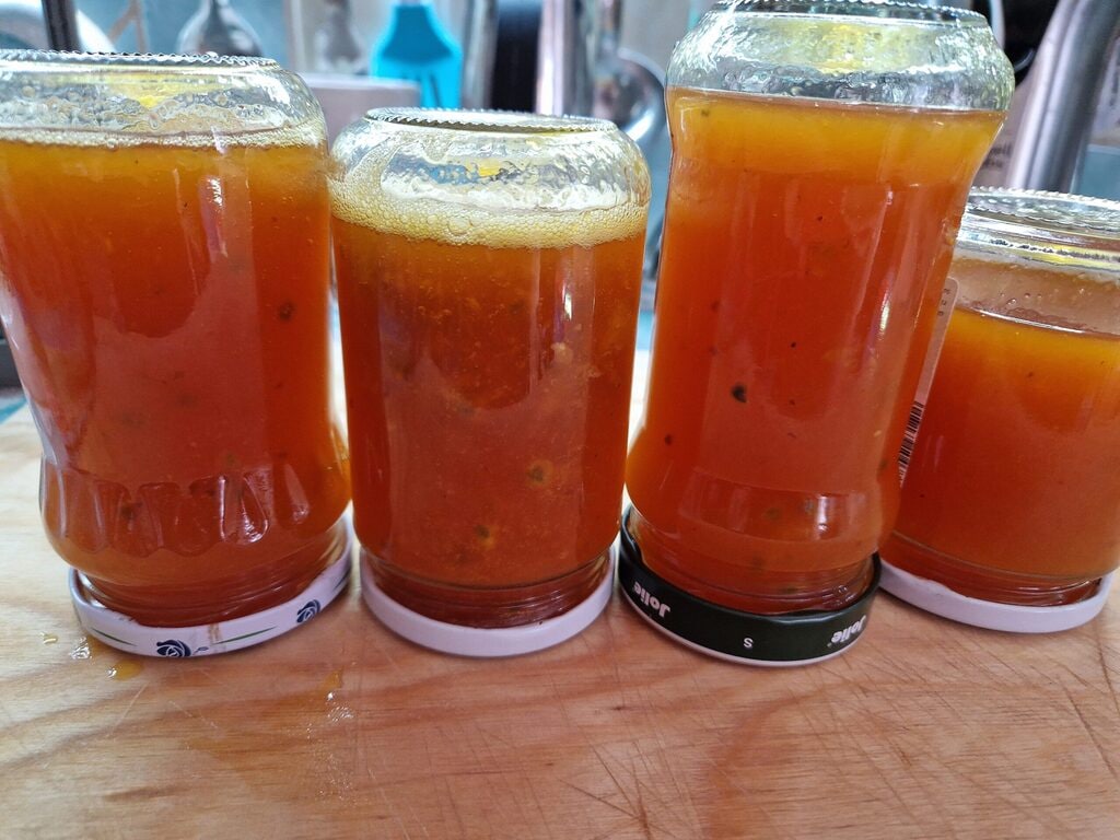 Compote de figues de Barbarie sans sucre