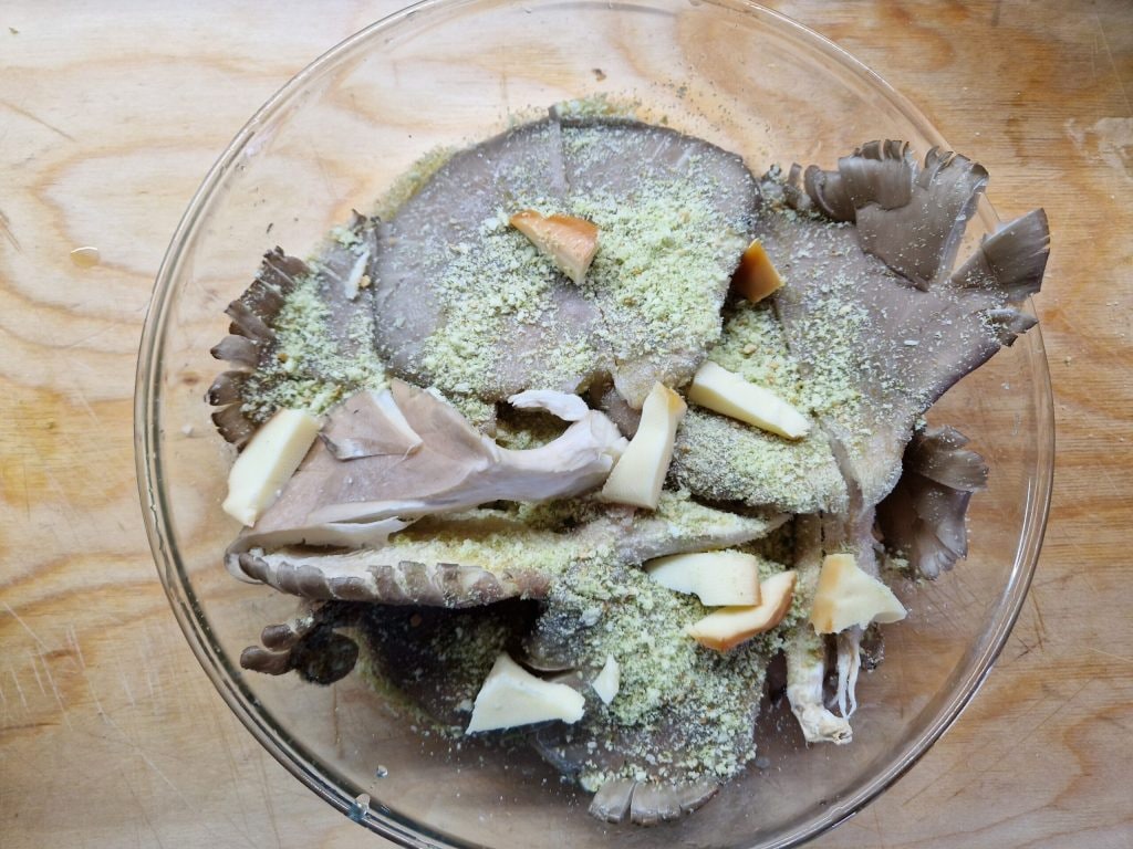 Gratin aux champignons pleurotus