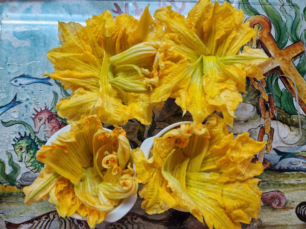 cocotte fleurs de courgette