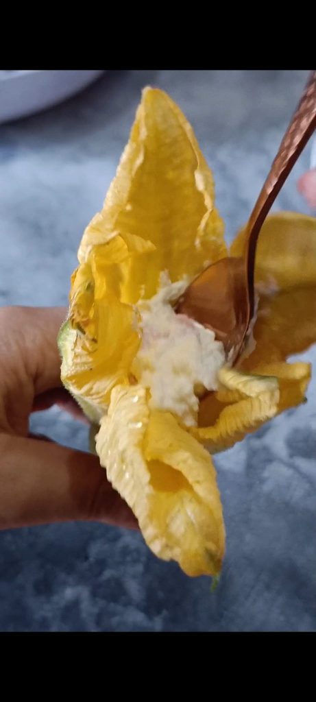 Nous les farcissons avec la ricotta