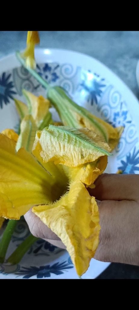 Nettoyage des fleurs de courgette