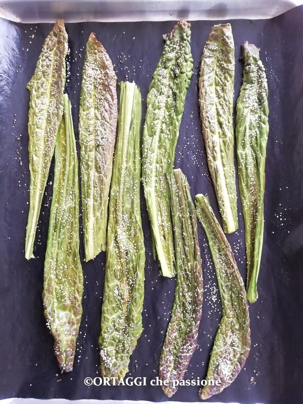 cuire les chips de chou kale