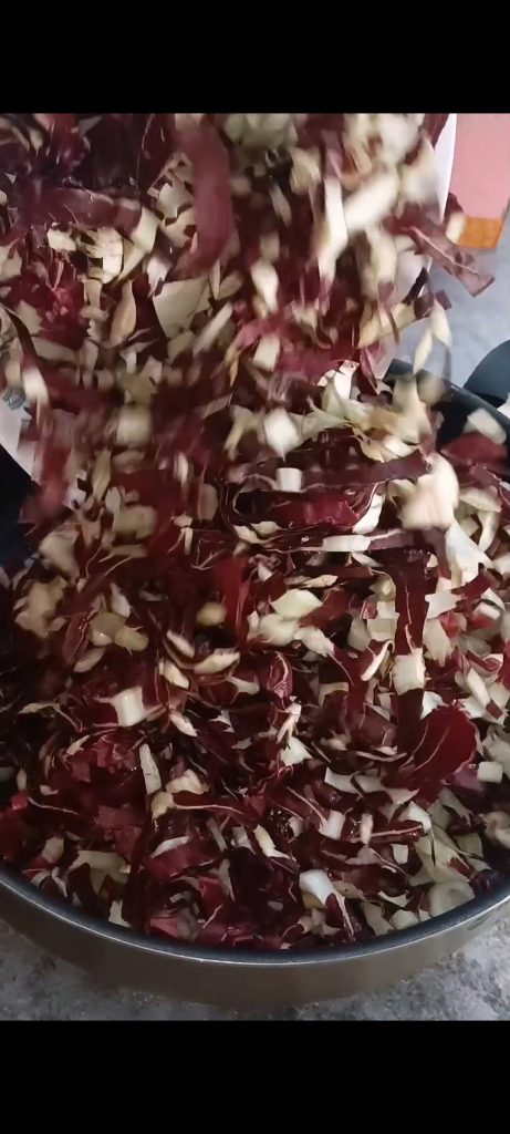 Radicchio
