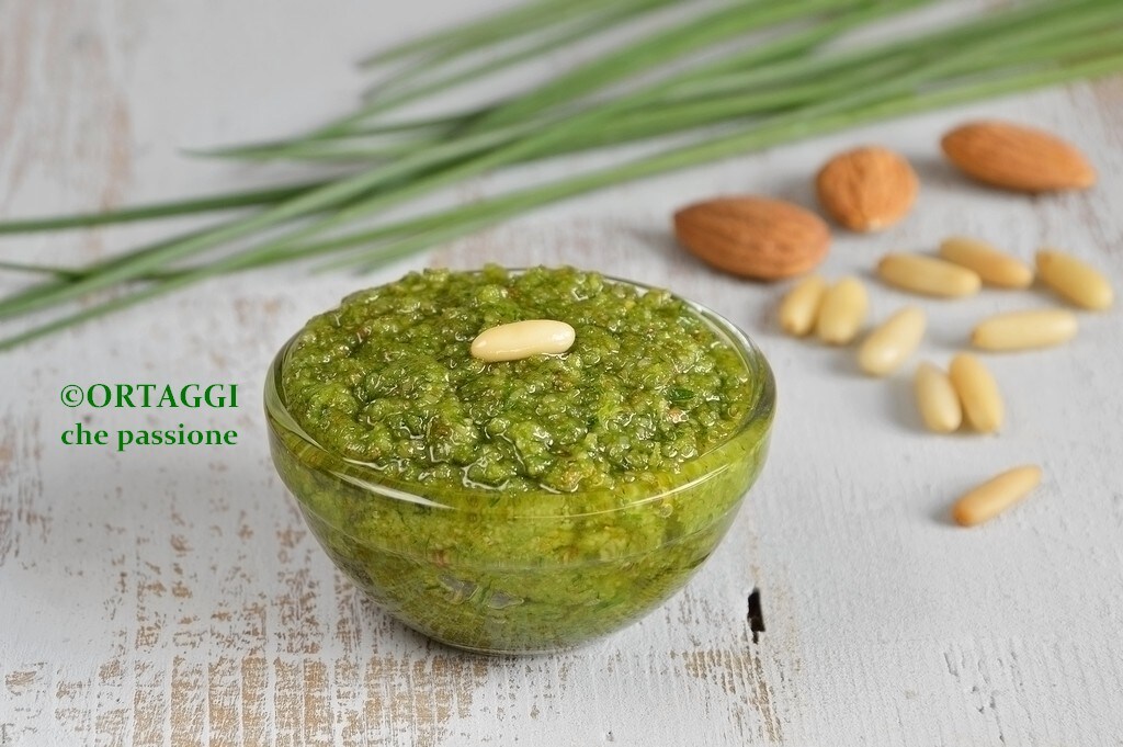 sauce verte - pesto ciboulette