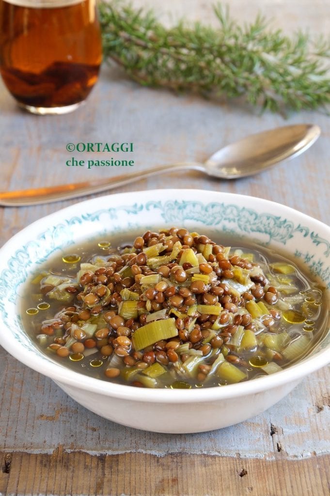 soupe aux poireaux et lentilles avec RIZ et céréales
