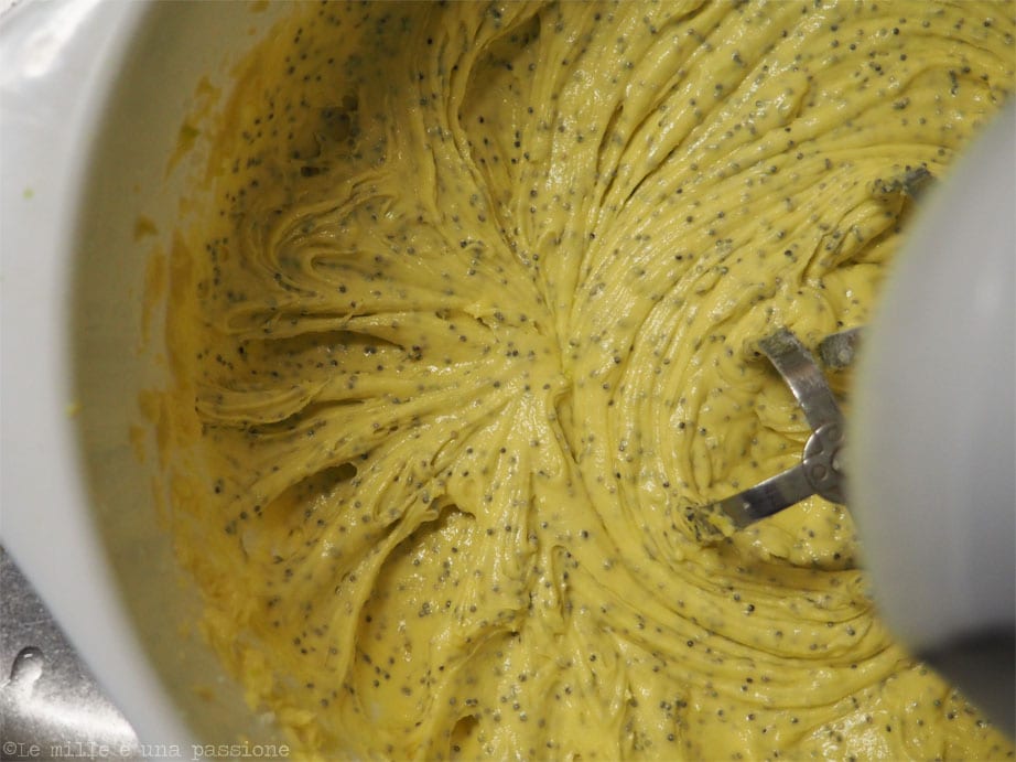 Pâte Cake au citron et graines de pavot