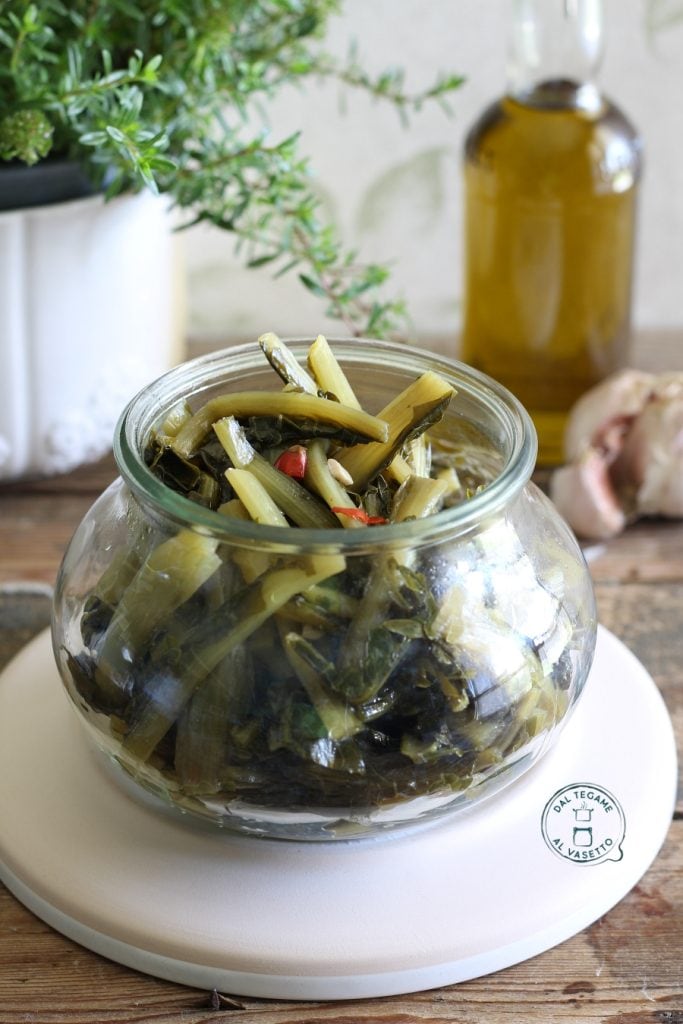 Chicorée en cuisson sous vide