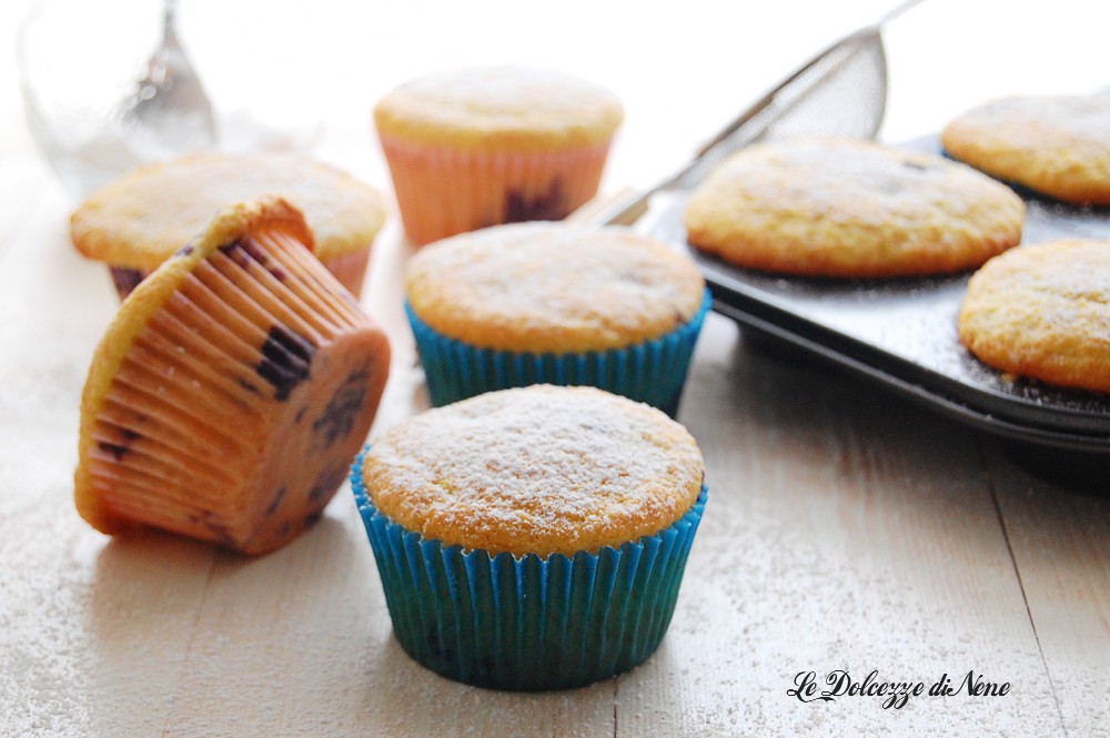 PETITS GÂTEAUX À LA NOIX DE COCO ET AUX MYRTILLES