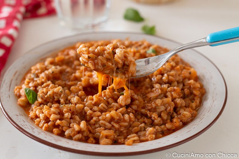 Épeautre façon risotto à la tomate