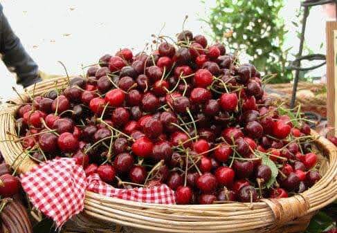 cerises