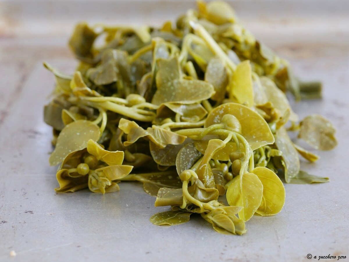 Feuilles de câprier en saumure faites maison