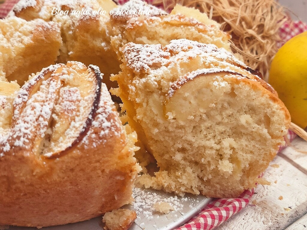 Gâteau aux pommes moelleux à la crème sans beurre une pâte spéciale qui fond dans la bouche dès la première bouchée, excellent comme dessert pour le petit déjeuner