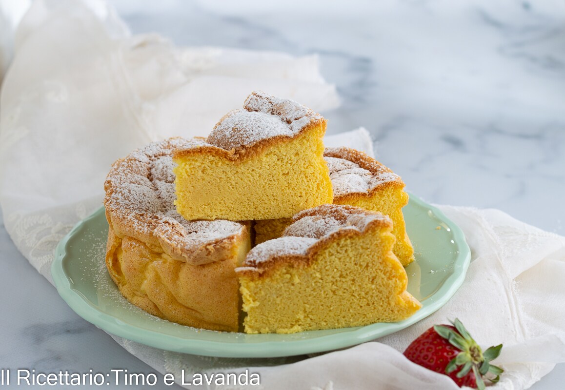Gâteau éponge japonais en coton