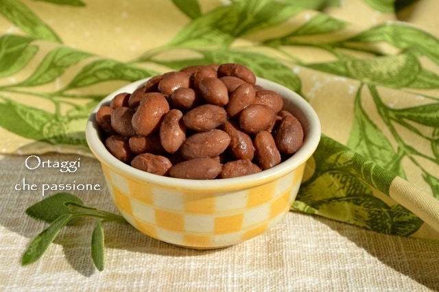 HARICOTS SECS – cuisson facile SANS SECRETS