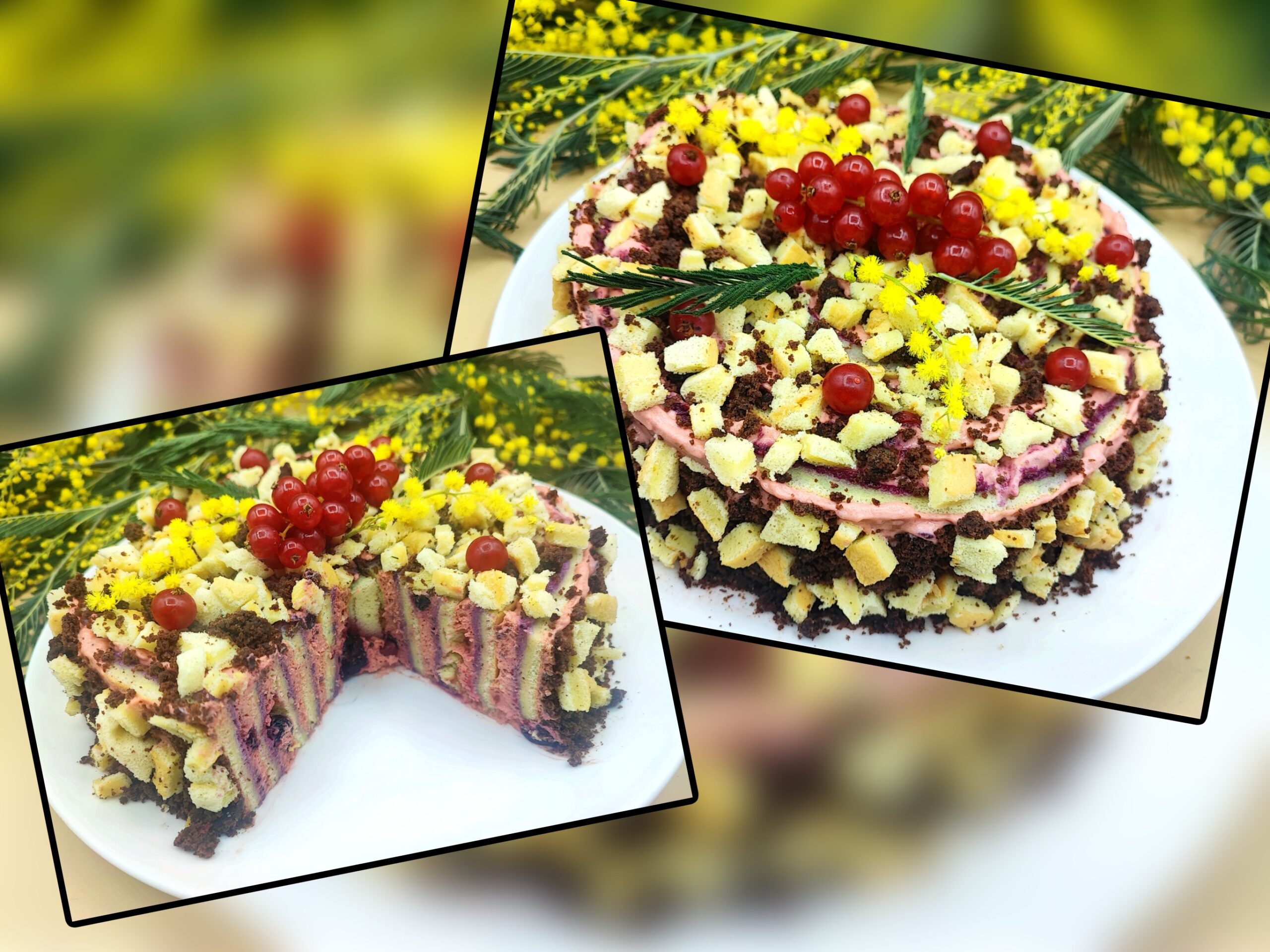 Gâteau mimosa roulé aux fruits des bois