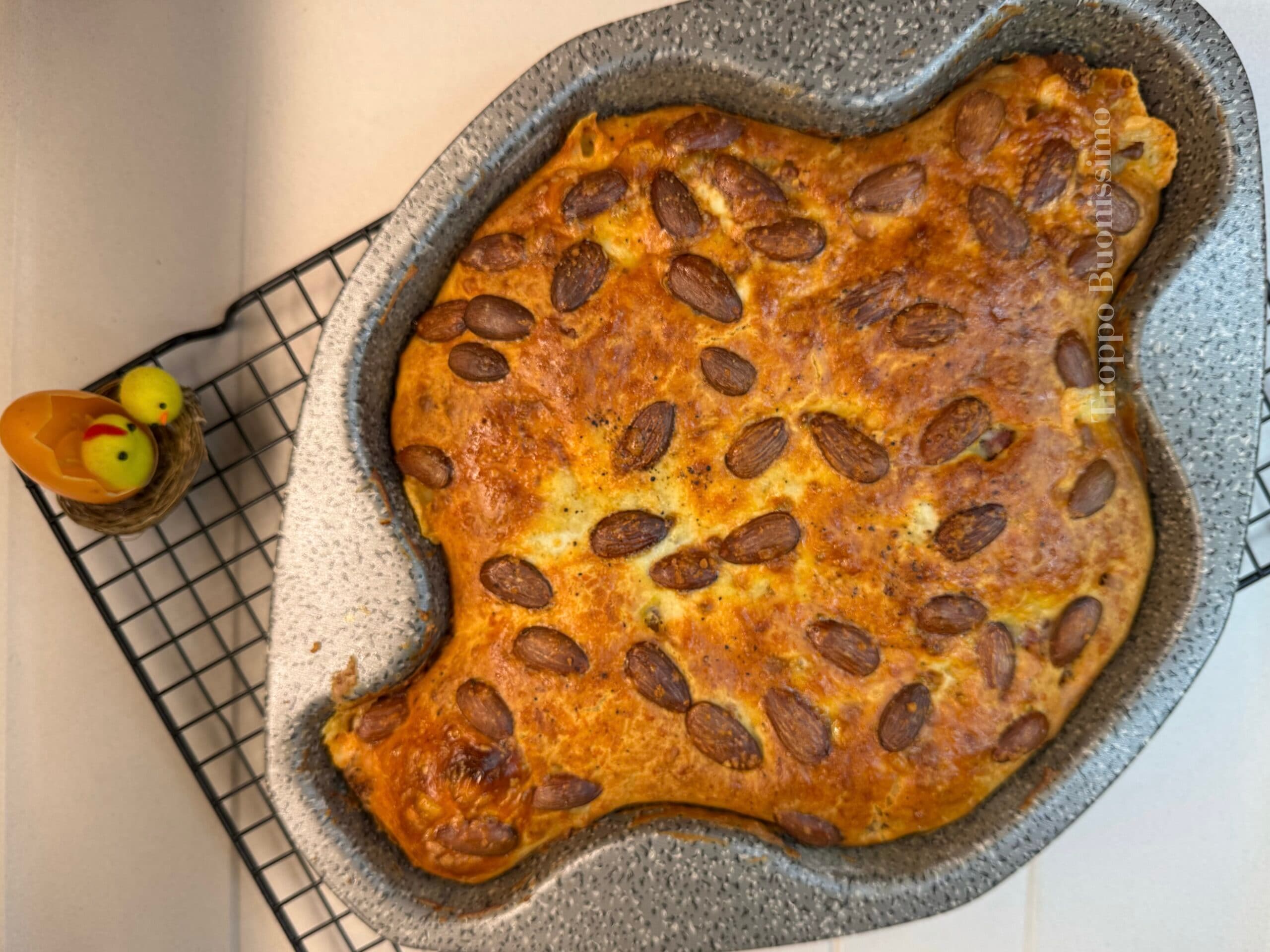 Colombe salée de Pâques : la recette facile et rapide